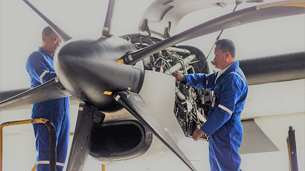 Full Background Image